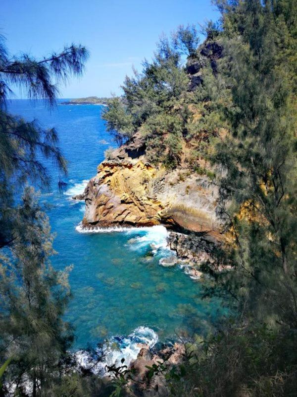 Le Liseron Creole - Entre Terre, Mer Et Riviere - Proche Toutes Commodites Saint-Joseph Bagian luar foto